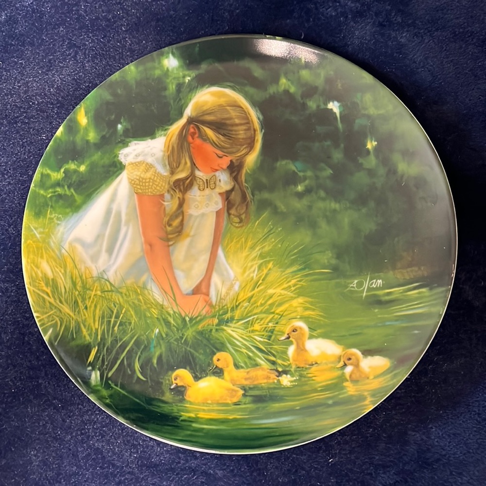 Donald Zolan VTG Plate